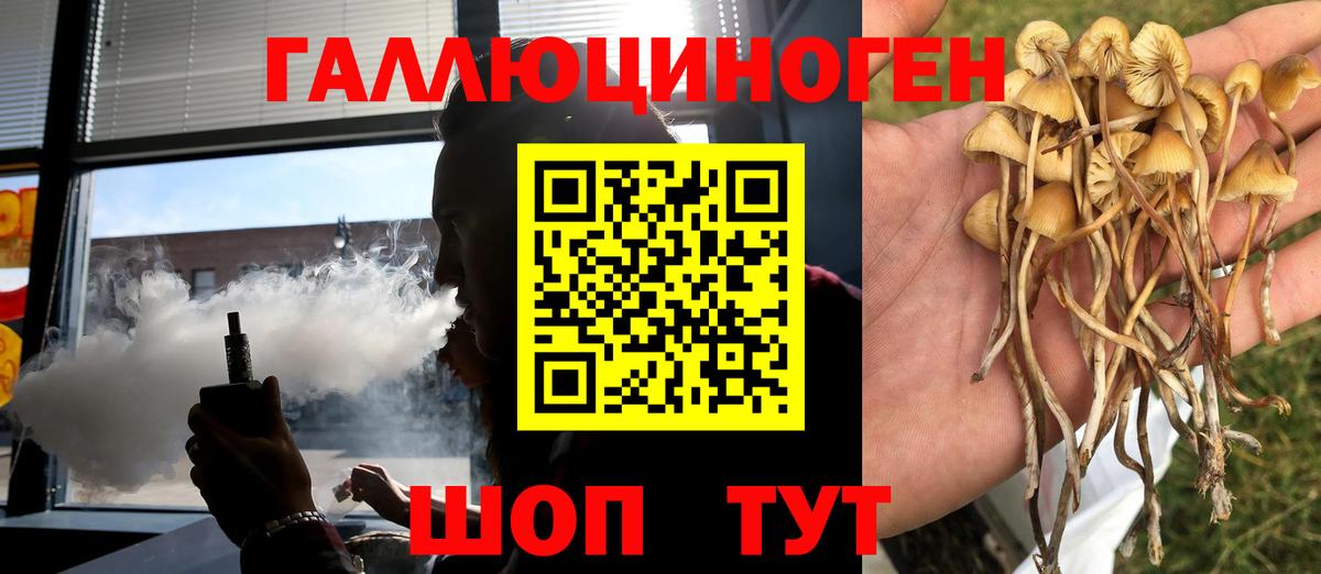 Галлюциногенные грибы мицелий  Вход с VPN  Воронеж  Псилоцибиновые грибы Cubensis 